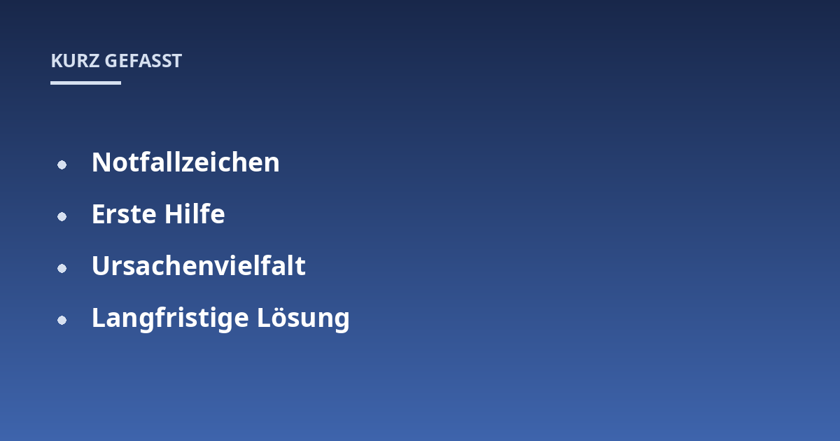 Notfallzeichen; Erste Hilfe; Ursachenvielfalt; Langfristige Lösung