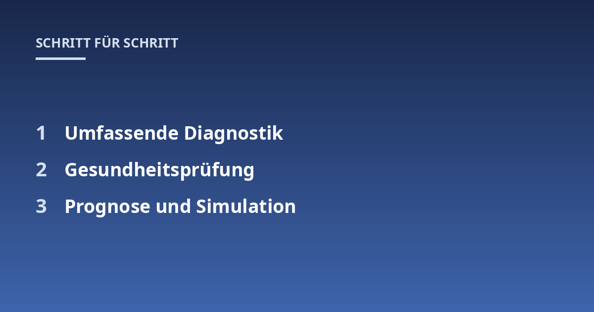 Umfassende Diagnostik; Gesundheitsprüfung; Prognose und Simulation