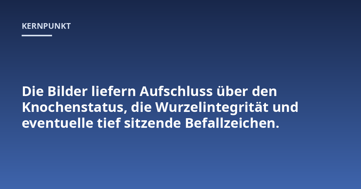 Die Bilder liefern Aufschluss über den Knochenstatus, die Wurzelintegrität und eventuelle tief sitzende Befallzeichen.