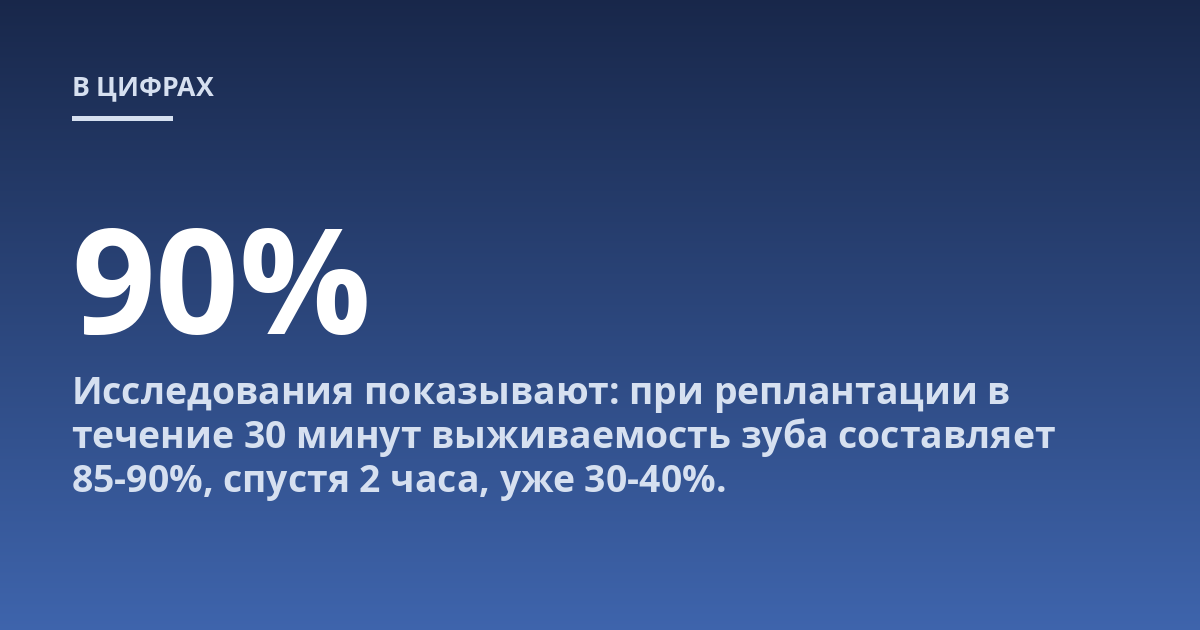 Исследования показывают: при реплантации в течение 30 минут выживаемость зуба составляет 85-90%, спустя 2 часа, уже 30-40%.