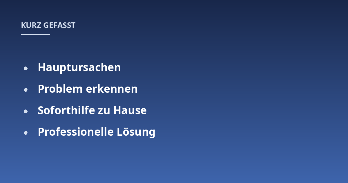 Hauptursachen; Problem erkennen; Soforthilfe zu Hause; Professionelle Lösung