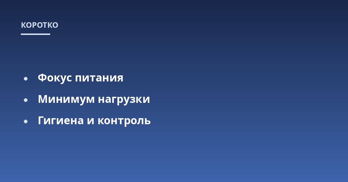 Фокус питания; Минимум нагрузки; Гигиена и контроль