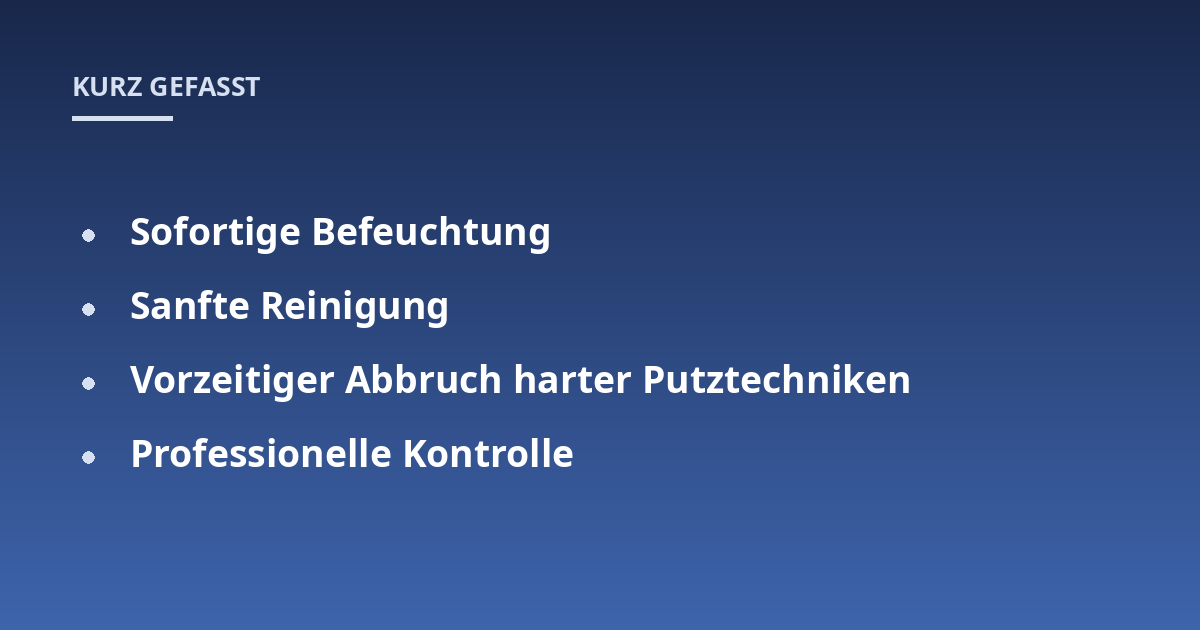 Sofortige Befeuchtung; Sanfte Reinigung; Vorzeitiger Abbruch harter Putztechniken; Professionelle Kontrolle