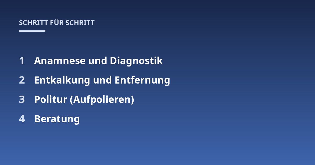 Anamnese und Diagnostik; Entkalkung und Entfernung; Politur (Aufpolieren); Beratung