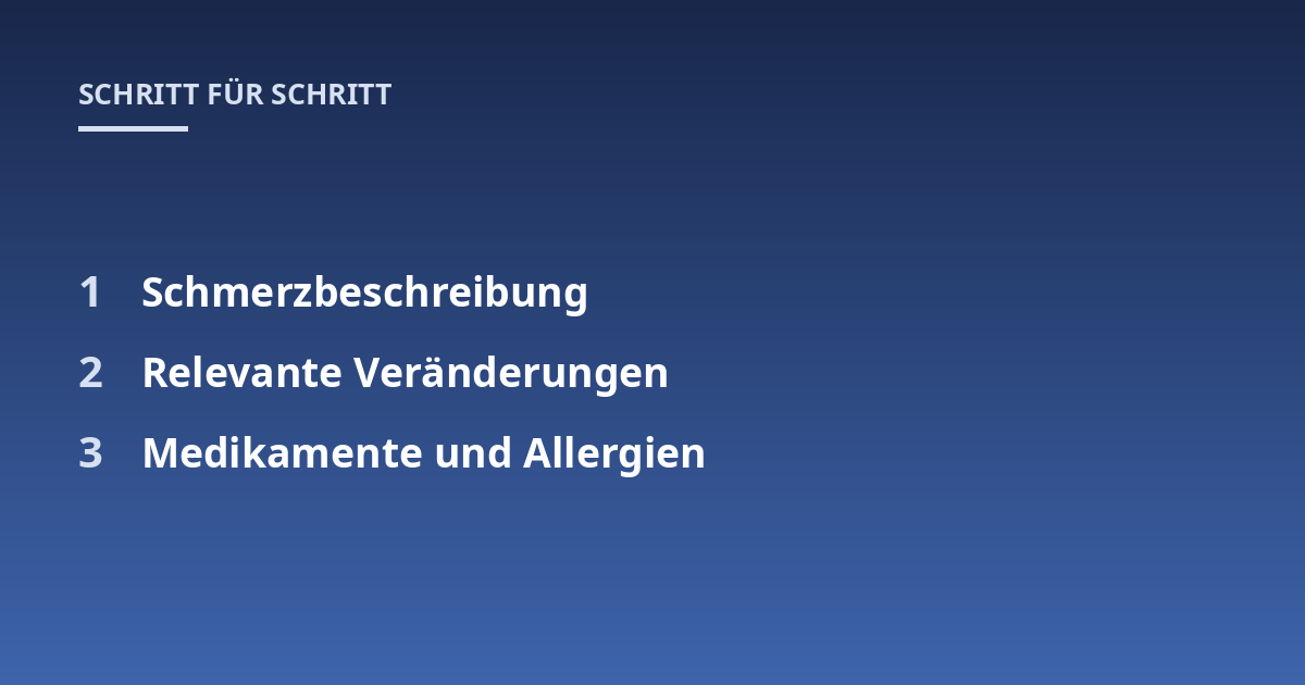 Schmerzbeschreibung; Relevante Veränderungen; Medikamente und Allergien